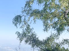 -香山公园