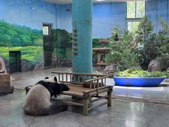 -临沂动植物园