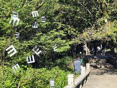 -黄山排云型旅酒店餐厅