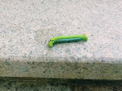 -白沙门生态公园