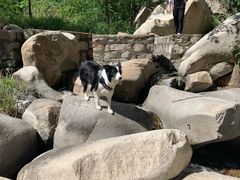 -碓臼峪自然风景区