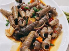 辣炒丁螺-华盛丰温州大排档(东三环南路店)