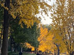 -苏州河梦清园环保主题公园