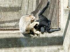 -昆明动物园