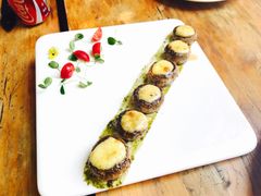 -百好乐宠物友好餐厅(朝外大街店)