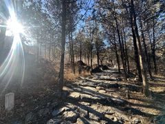 -阳台山自然风景区