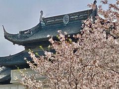 -苏州上方山国家森林公园