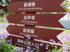 -苏州上方山国家森林公园