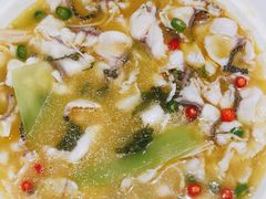 -青花椒花椒鱼(合生汇店)