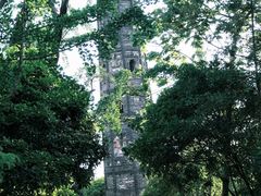 -上海佘山国家森林公园天马山园