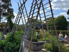-墨尔本皇家植物园