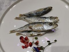 -蒲叙(凯天国际店)