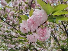 -大拙里·精致融合菜(沙湖桃源国际店)
