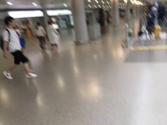 -上海浦东国际机场-T2航站楼