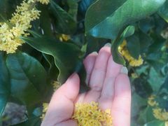 -费孝通江村纪念馆