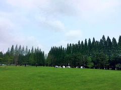 -黄海国家森林公园