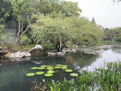 -南湖宾馆·鸳湖阁全日制餐厅