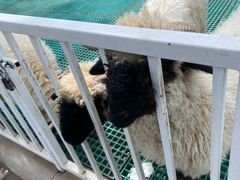 -水上乐园·欢乐世界