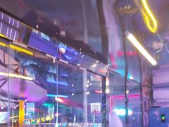 -移动谜城·大笨象密室逃脱(五棵松店)