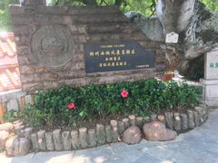 -潮镇老尾牛杂(环城西路店)
