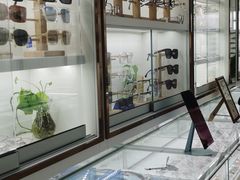 -翰佐蔡司小乐圆·依视路星趣控·暴龙眼镜折扣店