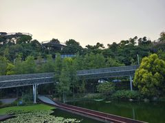 -福道