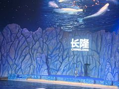 -珠海长隆海洋王国