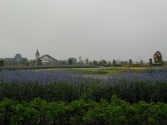 -南通鲜花小镇