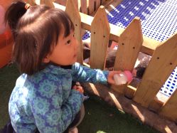 -萌宠亲子动物乐园(槐房万达店)