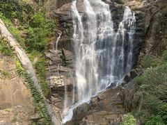 -海南热带雨林国家公园吊罗山景区