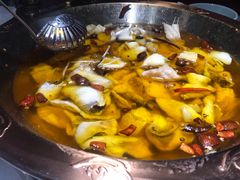 -雲蜀龙阁·金牌水煮鱼(方庄店)