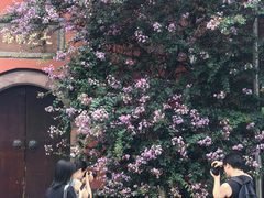 -无印良品餐堂 MUJI Diner(成都太古里店)