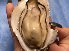 -千岛蚝高压锅生蚝·人参火锅(白云万达店)