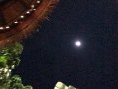 -碧桂园润杨溪谷温泉酒店