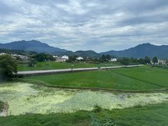 -黄牛肉馆·皖南土菜