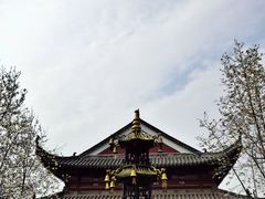 -长春观