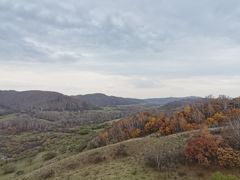 -塞罕坝国家级自然保护区