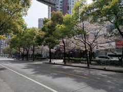 -玛格萝妮比萨屋(四平店)