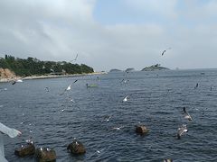 -银沙滩浴场