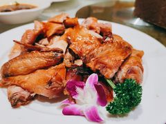 -凯鸽酒楼(大同振兴街店)