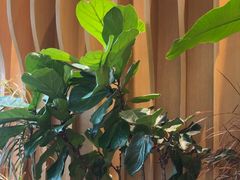 -Bco豆库(星耀天地店)