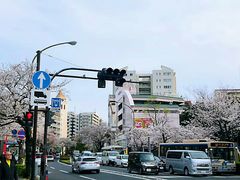 -成都濑川外国语学校