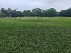 -荔香公园