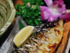 -鞠橘居酒屋(仁恒江湾新天地店)