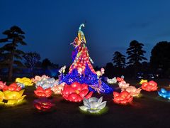 -南通洲际绿博园