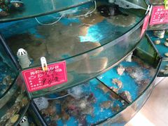 水产区-聚德福海鲜家常菜(刘庄店)