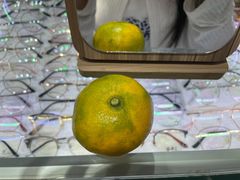 -横岗眼镜城