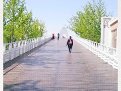 -大兴滨河森林公园