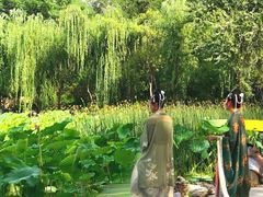 -莲湖公园