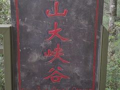 -苍山感通索道